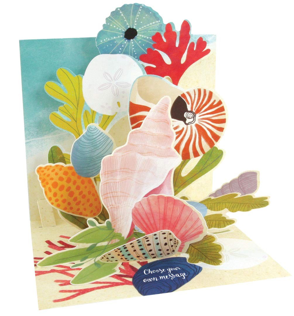 Up With Paper Pop-Up Treasures Greeting Card – Ocean Shells
