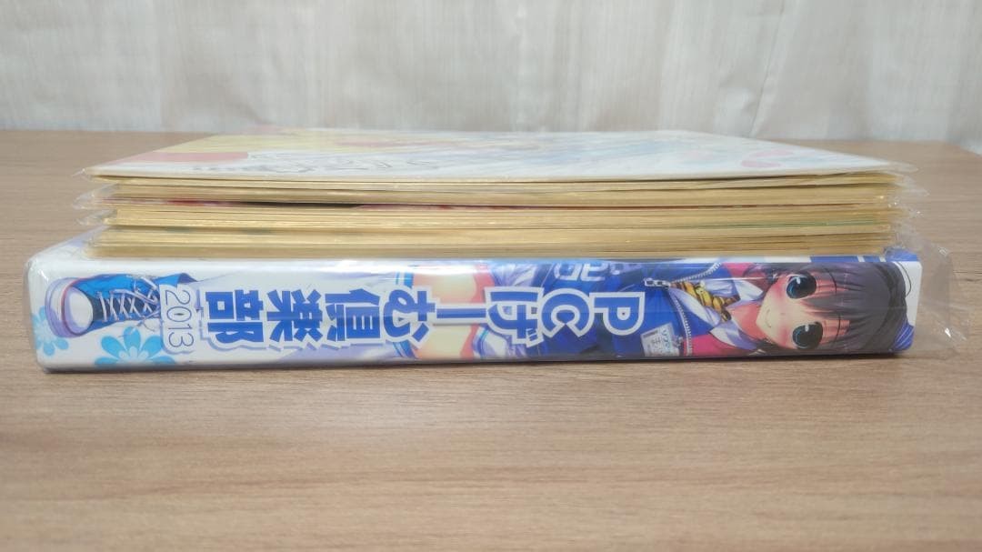 PC Game Club 2013-2014 Reproduction Sign Colored Paper Binder 30 pcs Used
