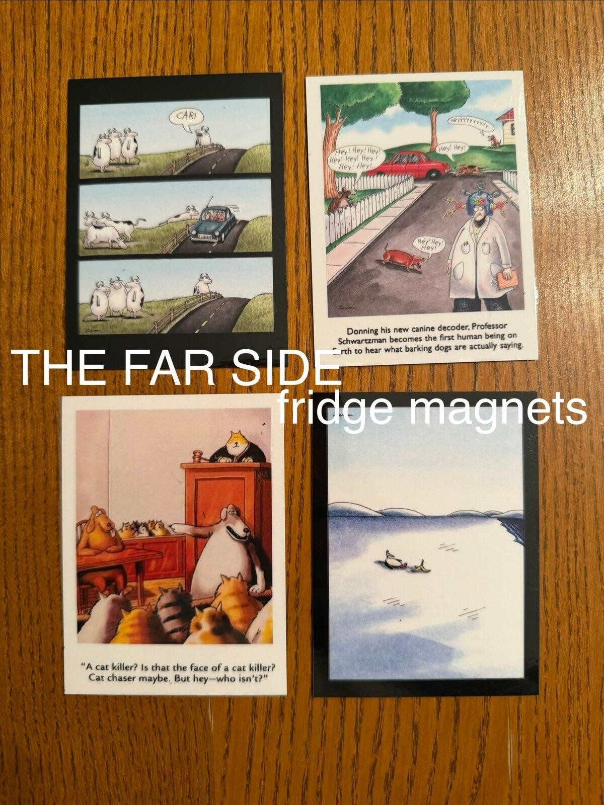 The Far Side fridge magnets