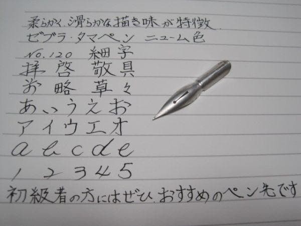 41-10. Replacement pen nibs [Zebra Tamapen No. 120] Newum 10 pieces with
