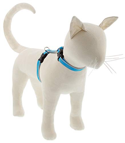 Lupine Reflective Cat & Small Pet H-Style Harness Blue Diamond 12-20″ Girth