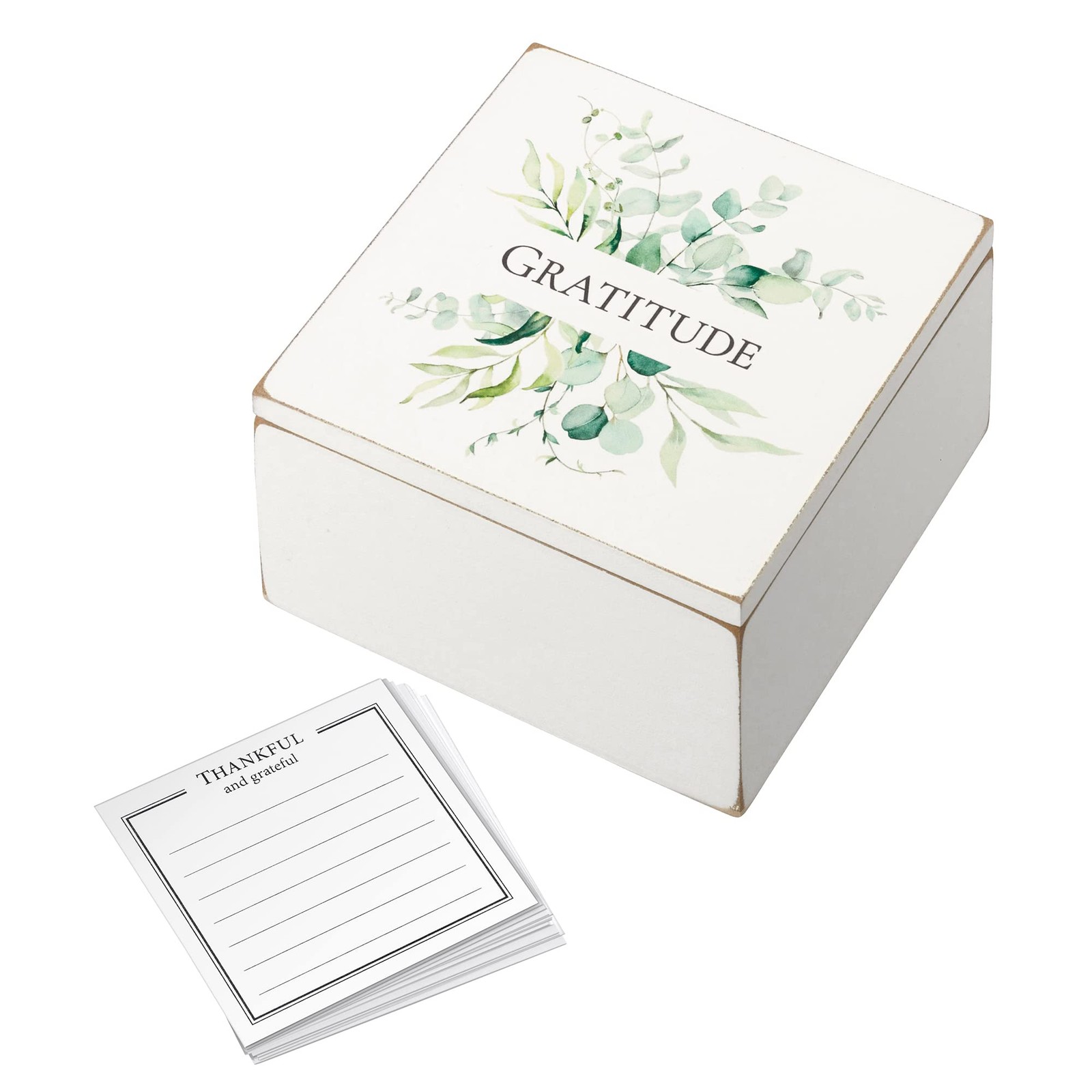 Lillian Rose Botanical Gratitude Box 30 Note Cards White 25 inches 5 Rustic