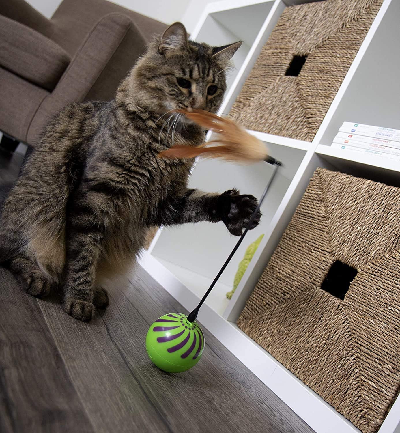 Smartkat (2 Count) Feather Whirl Electronic Motion Wand Cat Toys, Includes (2) E