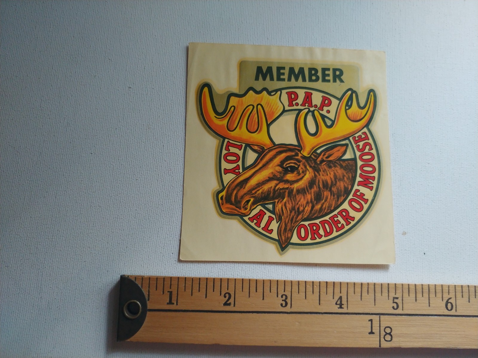 * 1 RARE 60S PAP LOYAL ORDER OF MOOSE MEMBER STICKER DECAL *