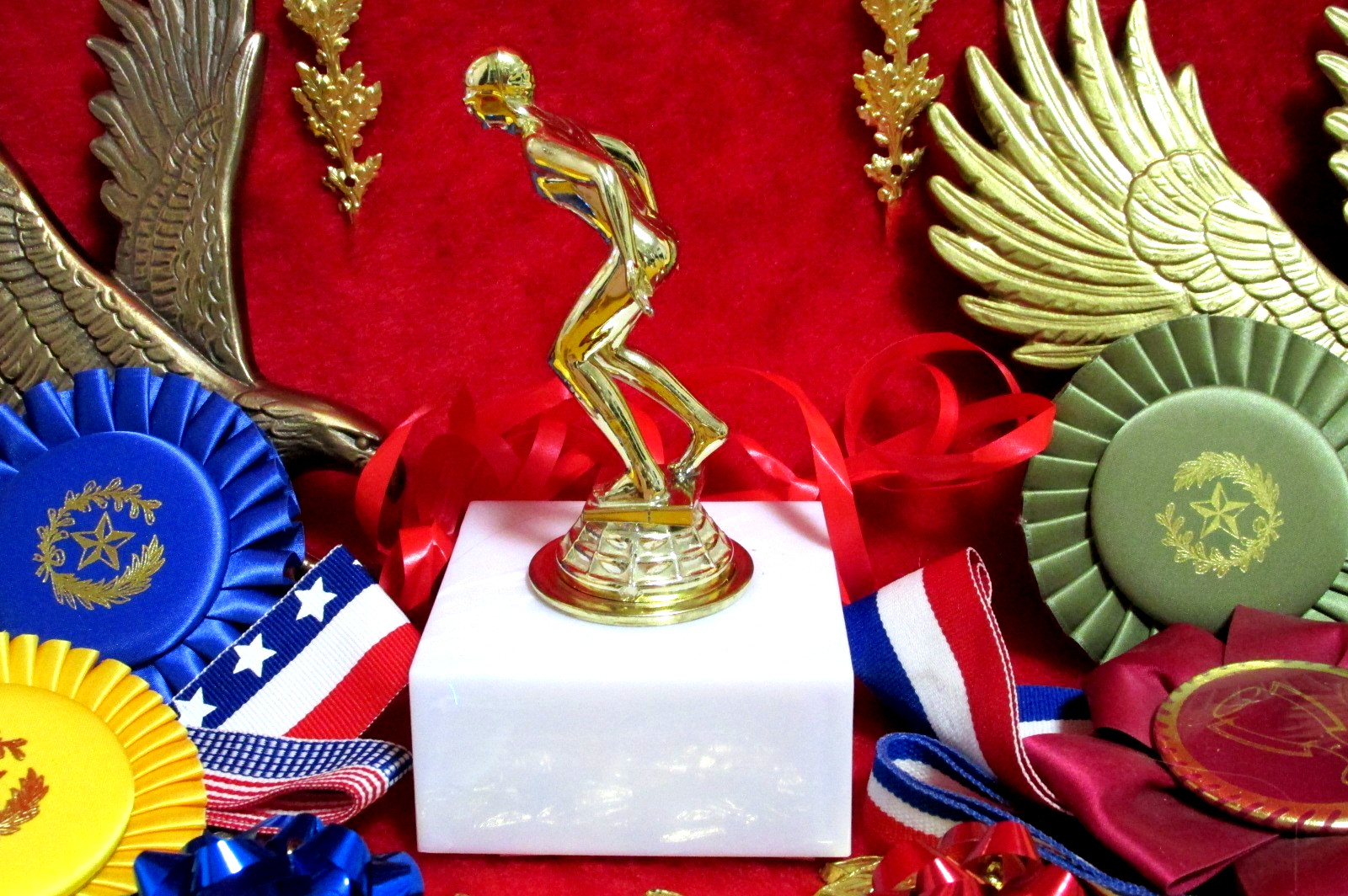 SWIM SWIMMING Trophy, Girls Female, Coach Special Award Marbelite Base FastShip