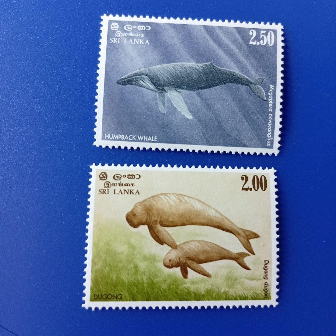 Foreign Stamp Sri Lanka 1983 Marine Mammal Marine Life 4V