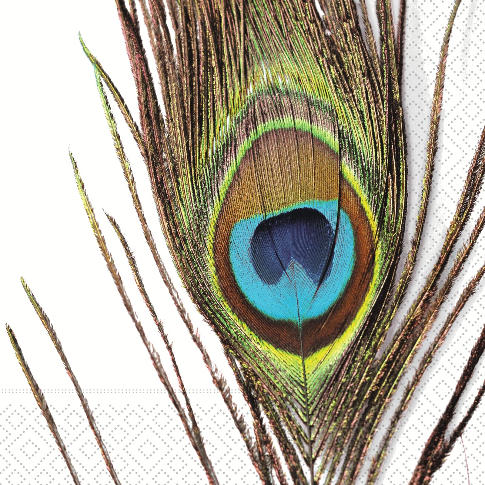 IHR Ideal Home Range Peacock Lunch Napkins 3Ply 20ct Party Disposable 6.5in