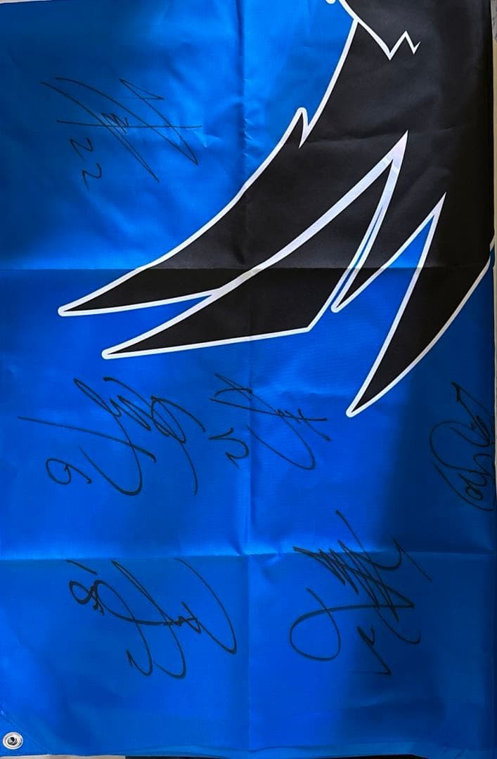 Panthers Cheering Flag Tapestry 100x156cm Signed by 19 Players Used