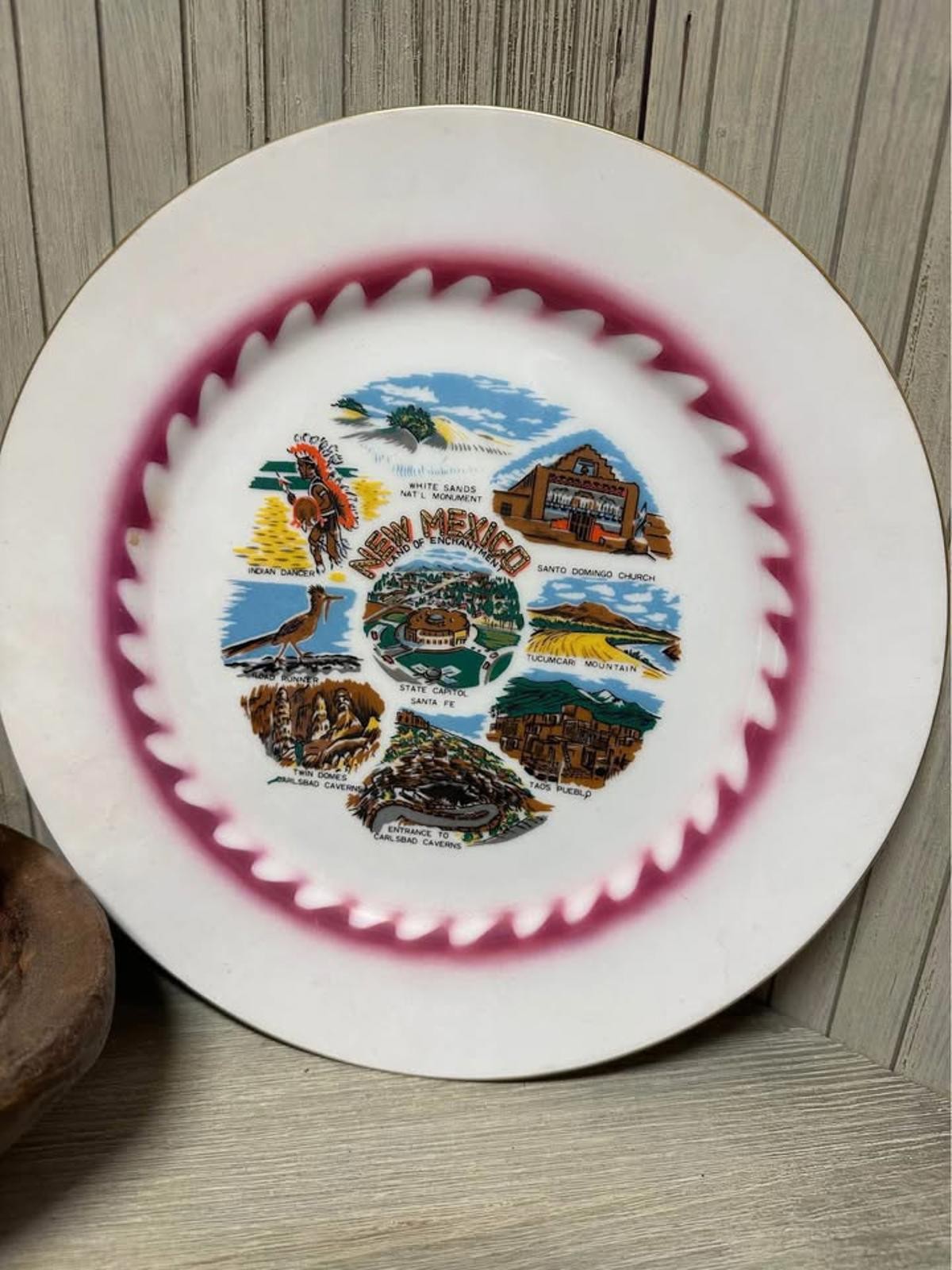 Vintage New Mexico Souvenir State Plate Porcelain Rounds 10.25″