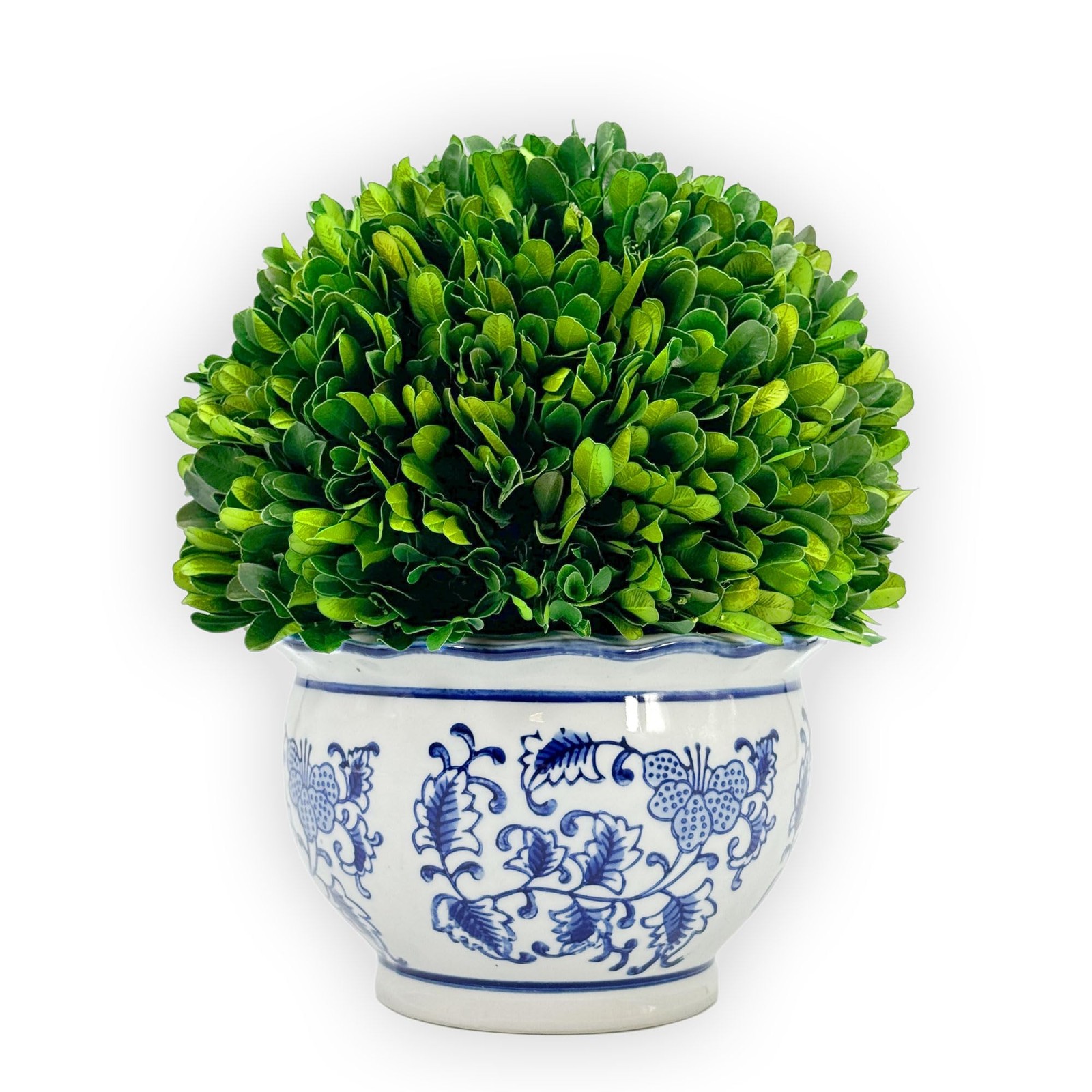 Galt International 9.5″ Preserved Boxwood Ball in Blue White Pot Topiary Decor