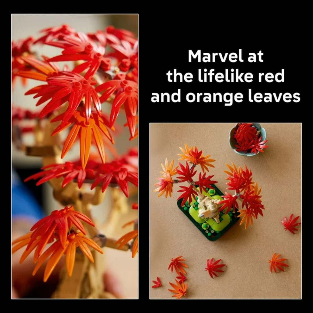 LEGO Botanicals Japanese Red Maple Bonsai Tree Building Kit for Adults 18+
