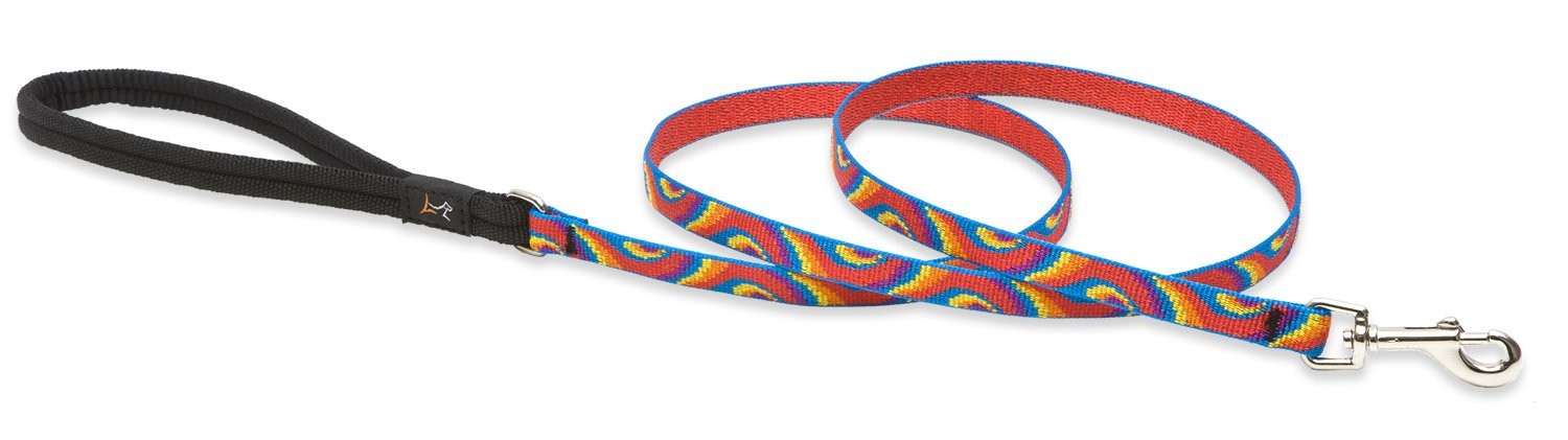 LupinePet Originals 1/2″ Lollipop 4-foot Padded Handle Leash for Small Pets