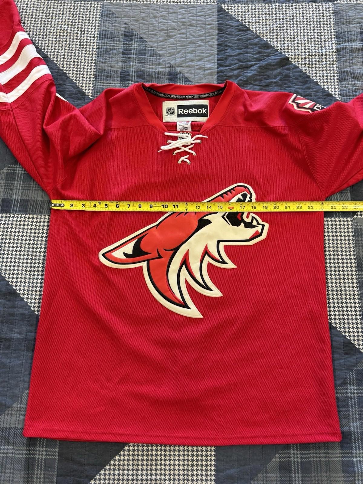 Vintage 2000s Reebok Rare Arizona Coyotes Ilya Bryzgalov #30 Mens SZ 50