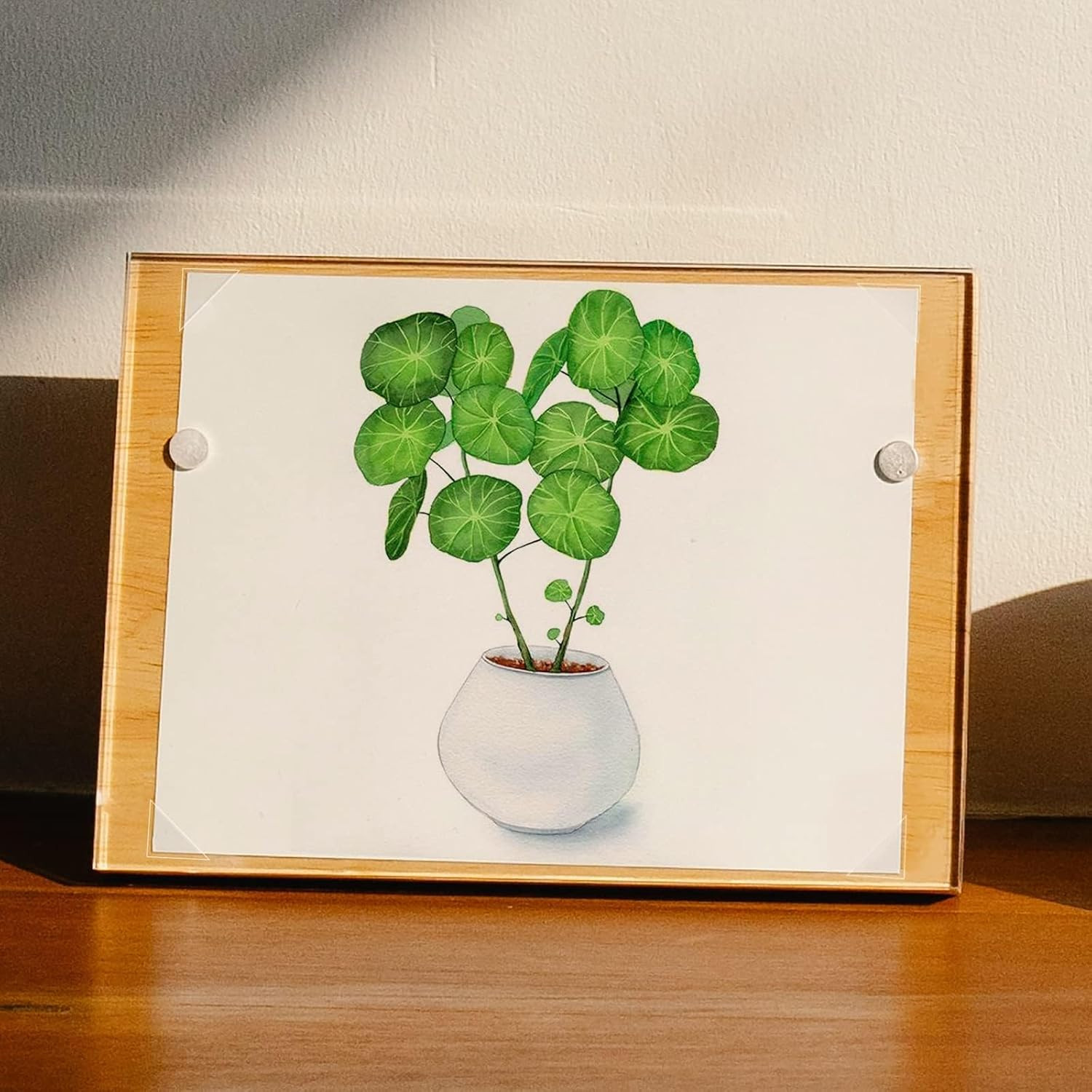 Infinity 0.625″ Clear Acid-Free Archival Photo Corners Self Adhesive, Pressure S