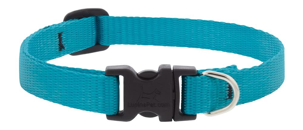 Lupine Small Dog Collar 1/2″ Wide Aqua adjusts 8-12″ Long