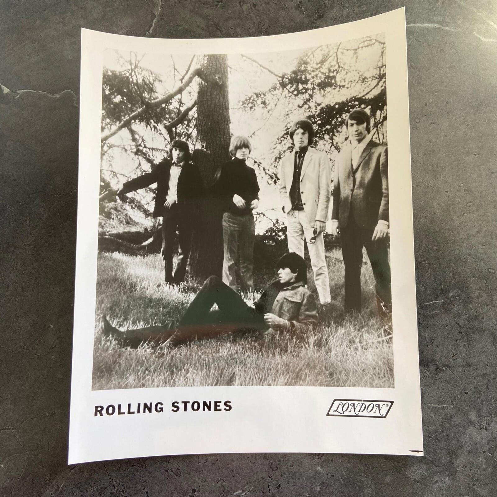 Rolling Stones Band Group Tree Photograph 8×10 B&W Glossy Vtg B82
